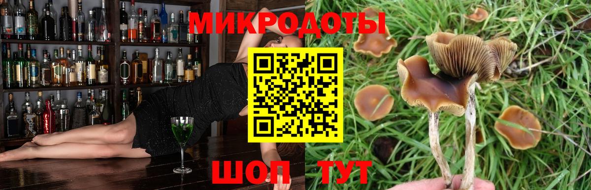 Егорьевск  Галлюциногенные грибы ЛСД  Вход с VPN  Псилоцибиновые грибы Magic Shrooms 